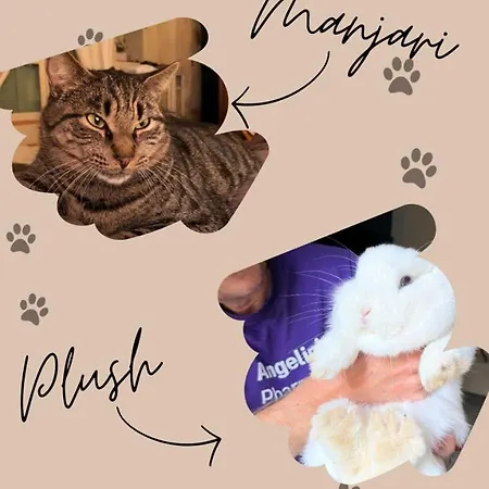 Independante A בית הארחה 3*